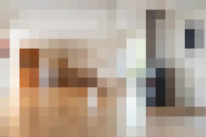 Gravenweg 30 Almen thumbnail 15