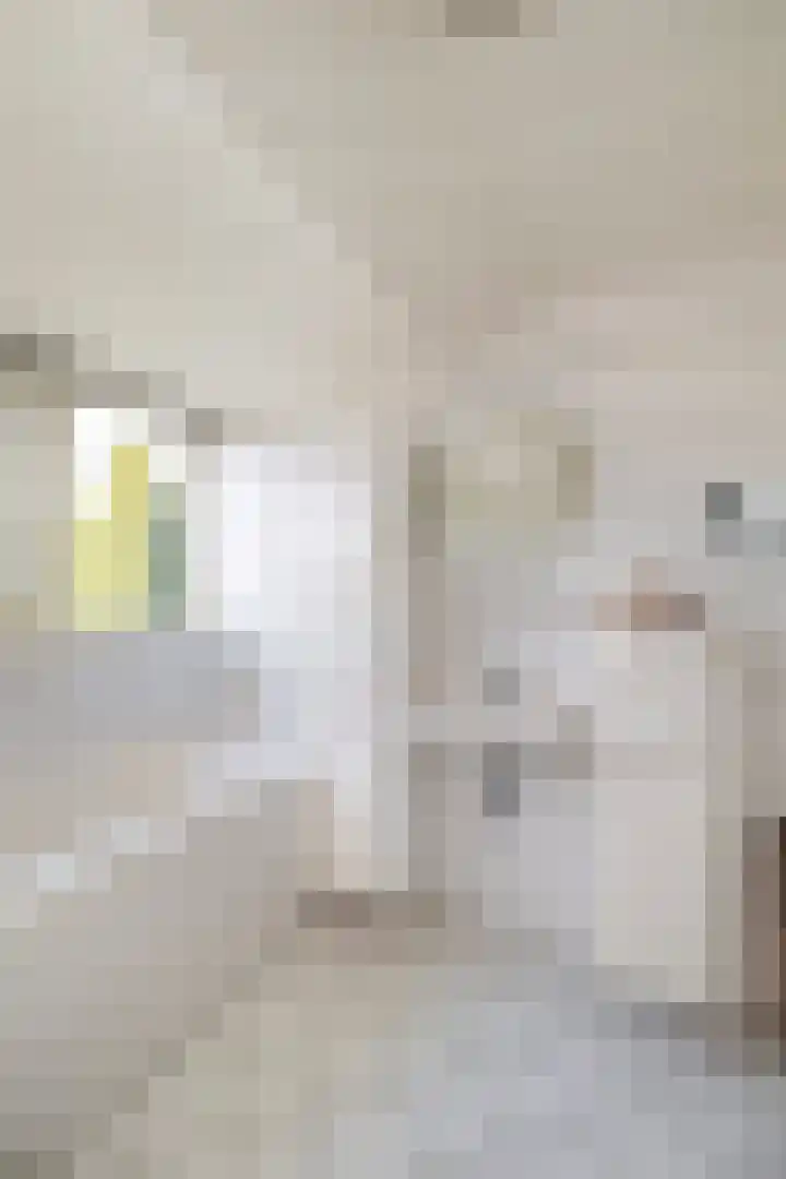 Gravenweg 30 Almen thumbnail 27