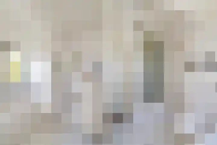 Gravenweg 30 Almen thumbnail 28