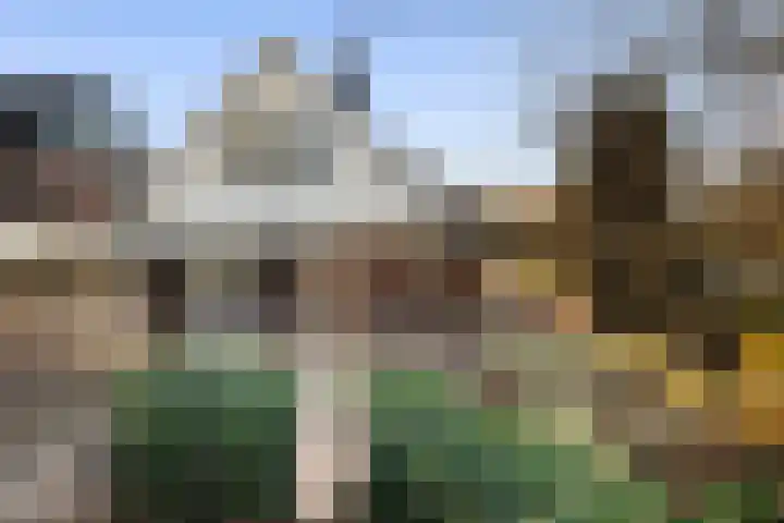 Gravenweg 30 Almen thumbnail 6