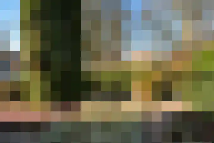 Gravenweg 30 Almen thumbnail 7