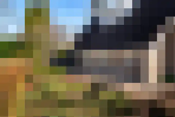 Gravenweg 30 Almen thumbnail 8