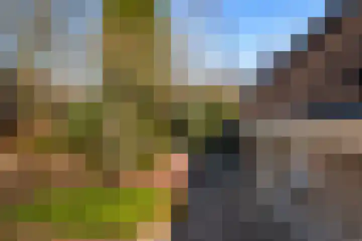 Gravenweg 30 Almen thumbnail 9