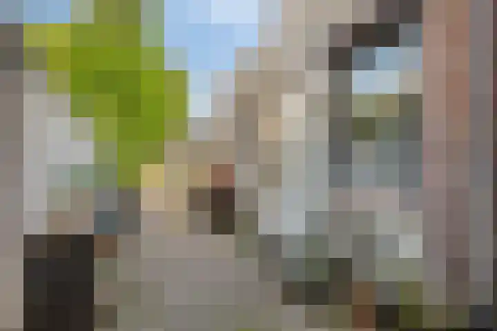 Graverstraat 24 Kerkrade thumbnail 35