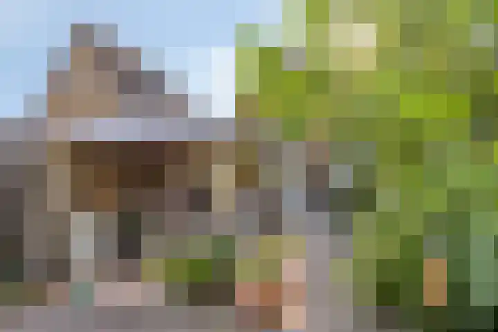 Graverstraat 24 Kerkrade thumbnail 39