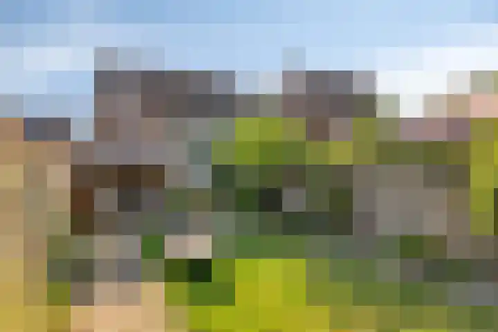 Graverstraat 24 Kerkrade thumbnail 43
