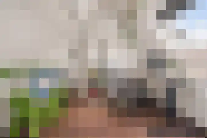 Graverstraat 6 Kerkrade thumbnail 4