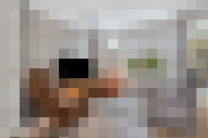 Graveurstraat 1 Alkmaar thumbnail 11