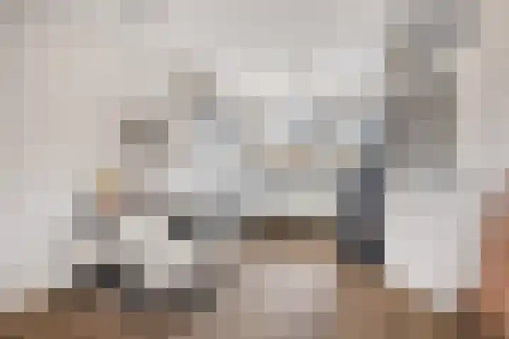 Graveurstraat 1 Alkmaar thumbnail 17