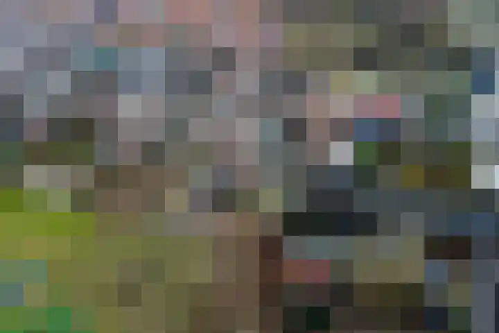 Graveurstraat 1 Alkmaar thumbnail 27