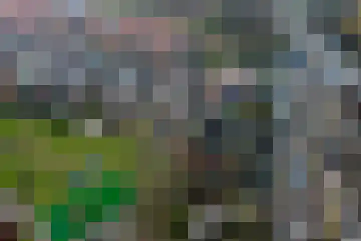 Graveurstraat 1 Alkmaar thumbnail 28