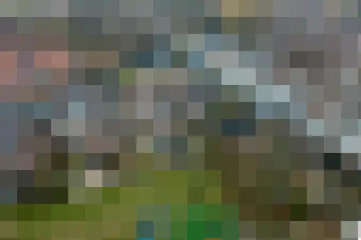 Graveurstraat 1 Alkmaar thumbnail 29
