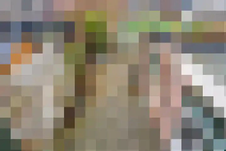 Graveurstraat 1 Alkmaar thumbnail 38