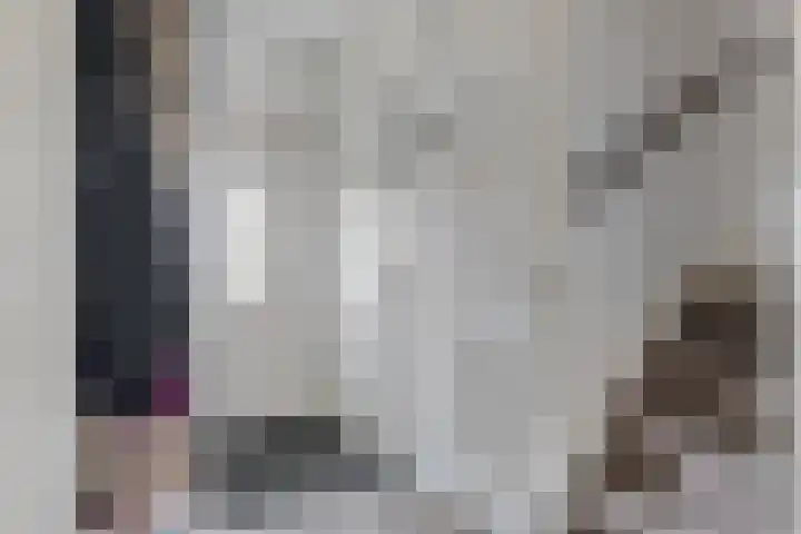 Graveurstraat 1 Alkmaar thumbnail 9