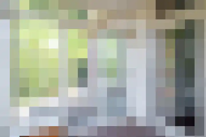 Gravin Adalaan 10 Velp thumbnail 11