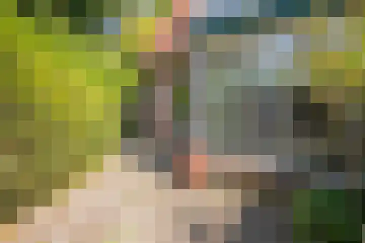 Gravin Adalaan 10 Velp thumbnail 33