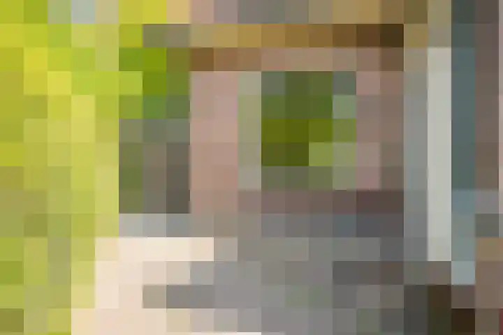 Gravin Adalaan 10 Velp thumbnail 34