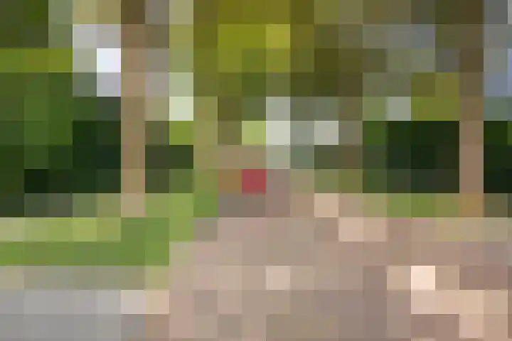 Gravin Adalaan 10 Velp thumbnail 39