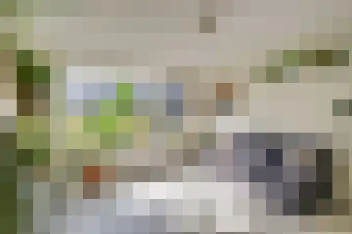 Gravin Juliana van Stolberglaan 468 dans Leidschendam