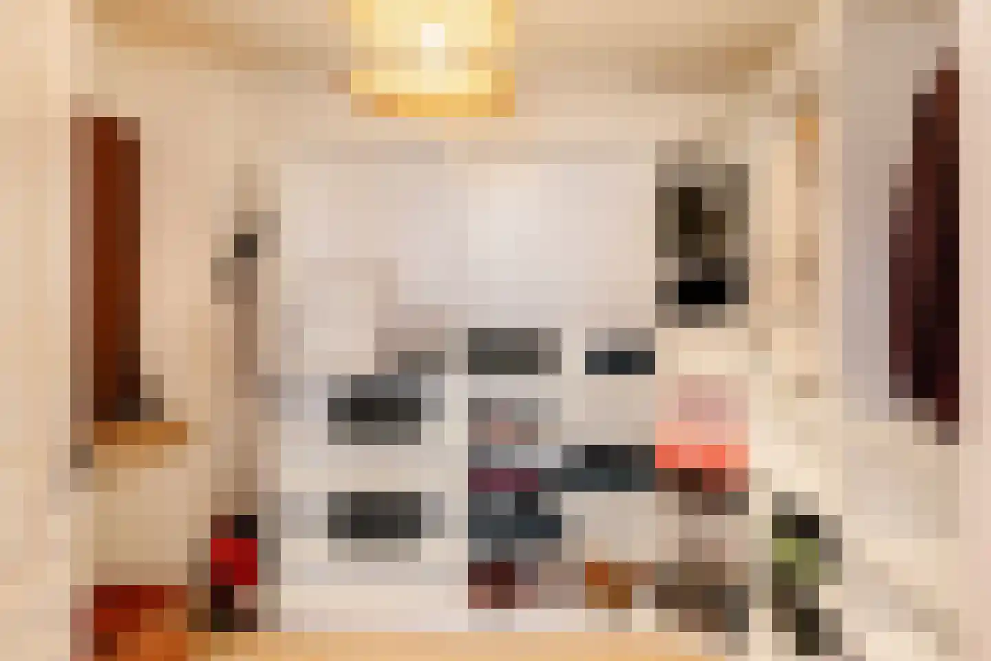 Gravinnesteeg 3 Haarlem thumbnail 14