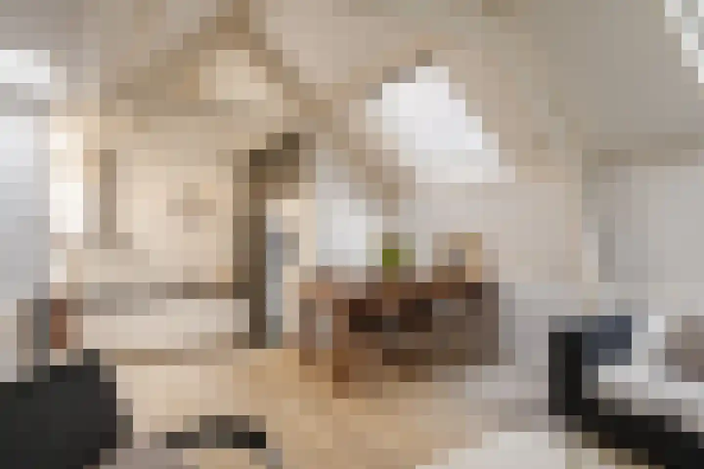 Gravinnesteeg 3 Haarlem thumbnail 23