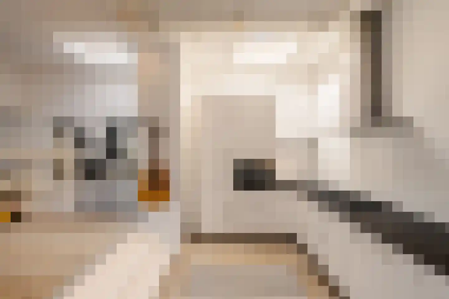 Gravinnesteeg 3 Haarlem thumbnail 26