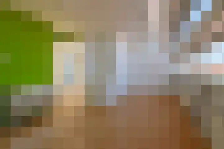 Gravinnesteeg 8 Haarlem thumbnail 27