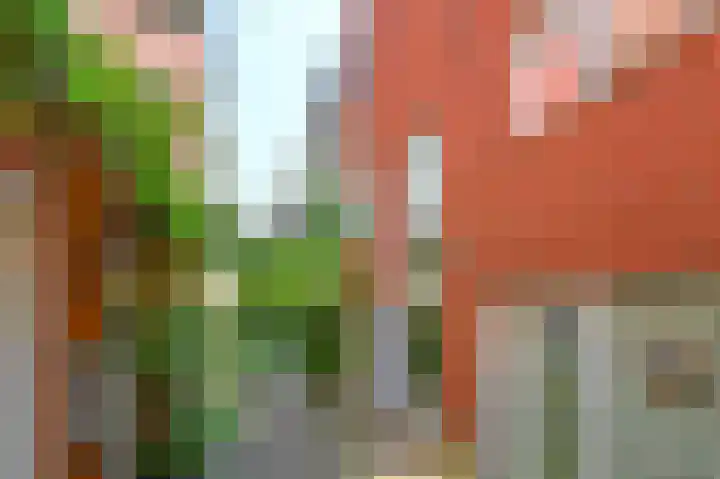 Gravinnesteeg 8 Haarlem thumbnail 42