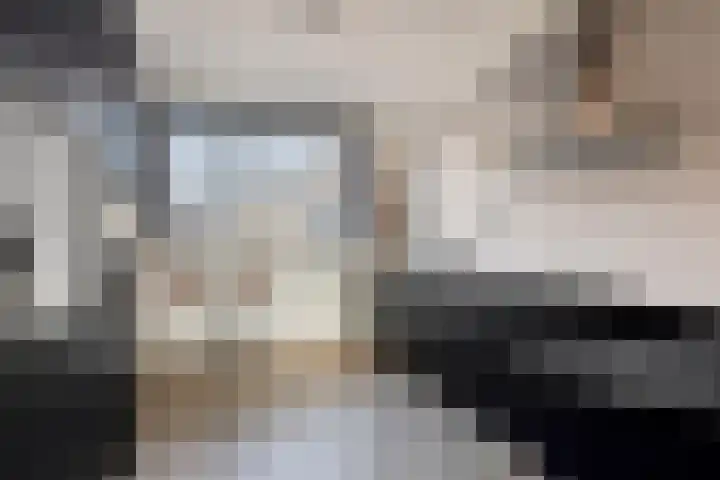 Gravure 4 Meppel thumbnail 10