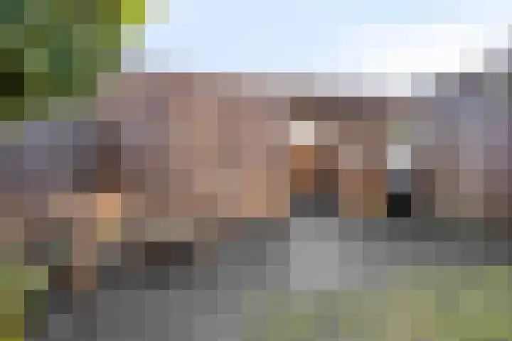 Gravure 4 Meppel thumbnail 27
