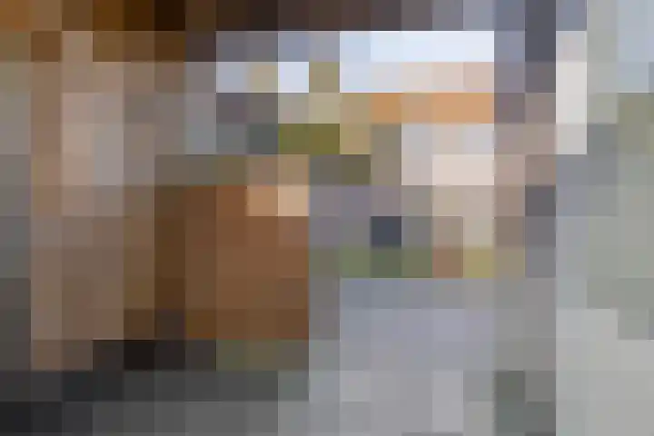Gravure 4 Meppel thumbnail 29