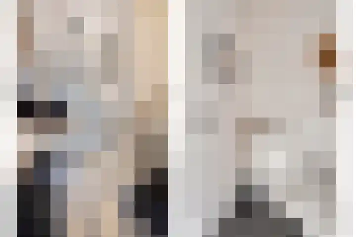 Gravure 4 Meppel thumbnail 6