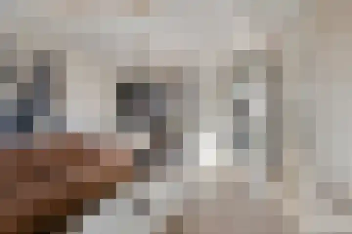 Gravure 4 Meppel thumbnail 8