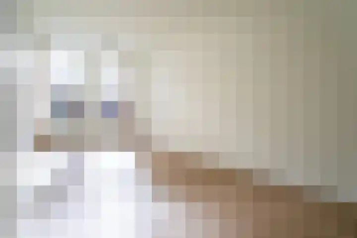 Grazendonkstraat 15 Breda thumbnail 8