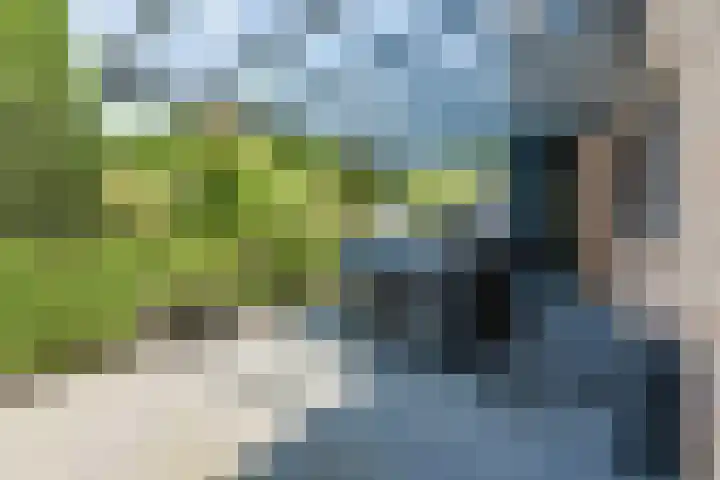Greate Buorren 64 in Garyp