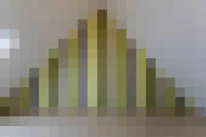 Grebbebos 2 Hoofddorp thumbnail 21