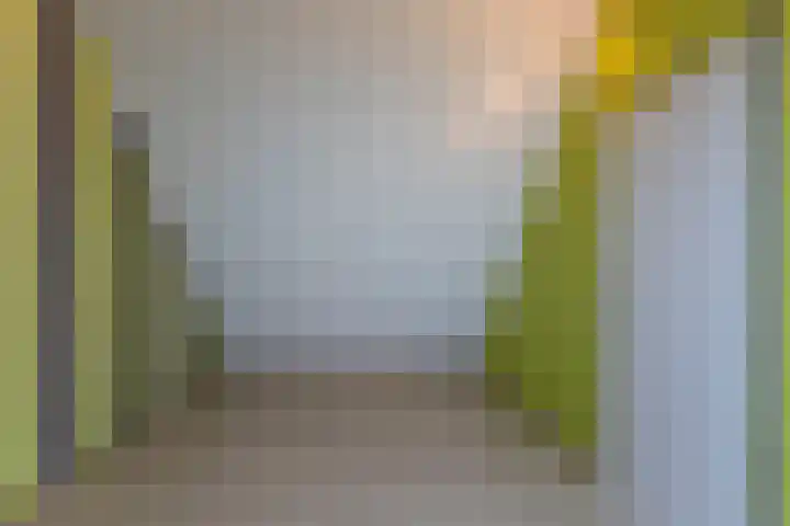 Grebbebos 2 Hoofddorp thumbnail 23