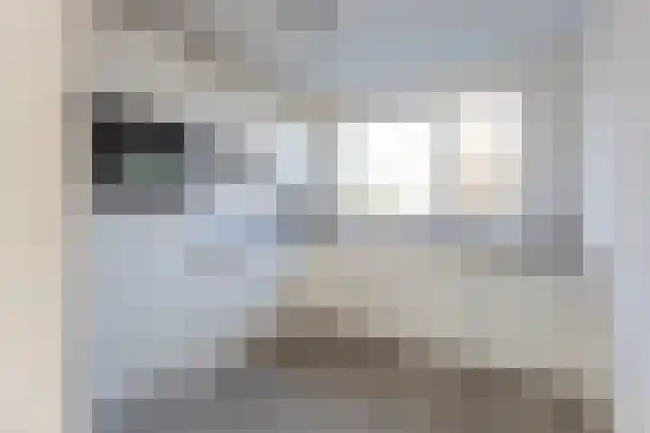 Grebbebos 2 Hoofddorp thumbnail 9