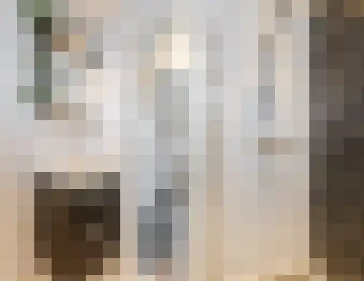 Grebbelaan 9 Scherpenzeel thumbnail 18