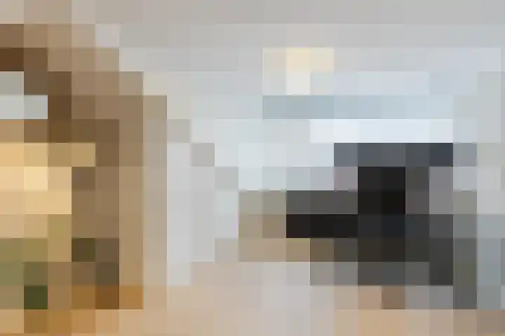 Grebbelaan 9 Scherpenzeel thumbnail 21