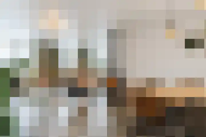 Grebbelaan 9 Scherpenzeel foto 3
