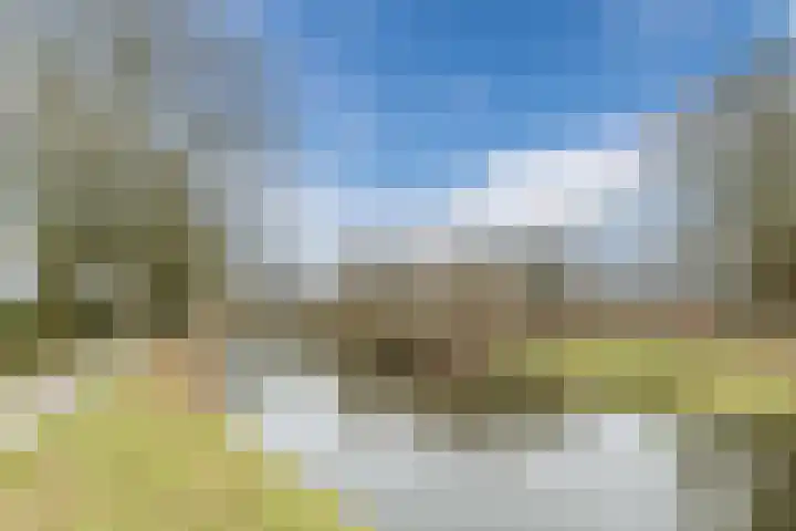 Grebbelaan 9 Scherpenzeel thumbnail 30