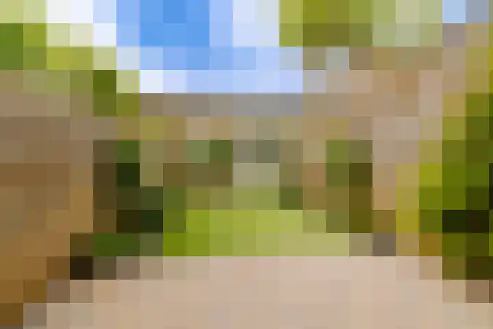 Grebberstraat 36 Haarlem foto 3