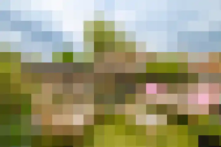 Grebberstraat 36 Haarlem thumbnail 39