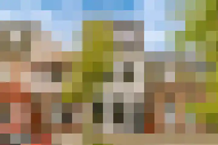 Grebberstraat 36 Haarlem thumbnail 5