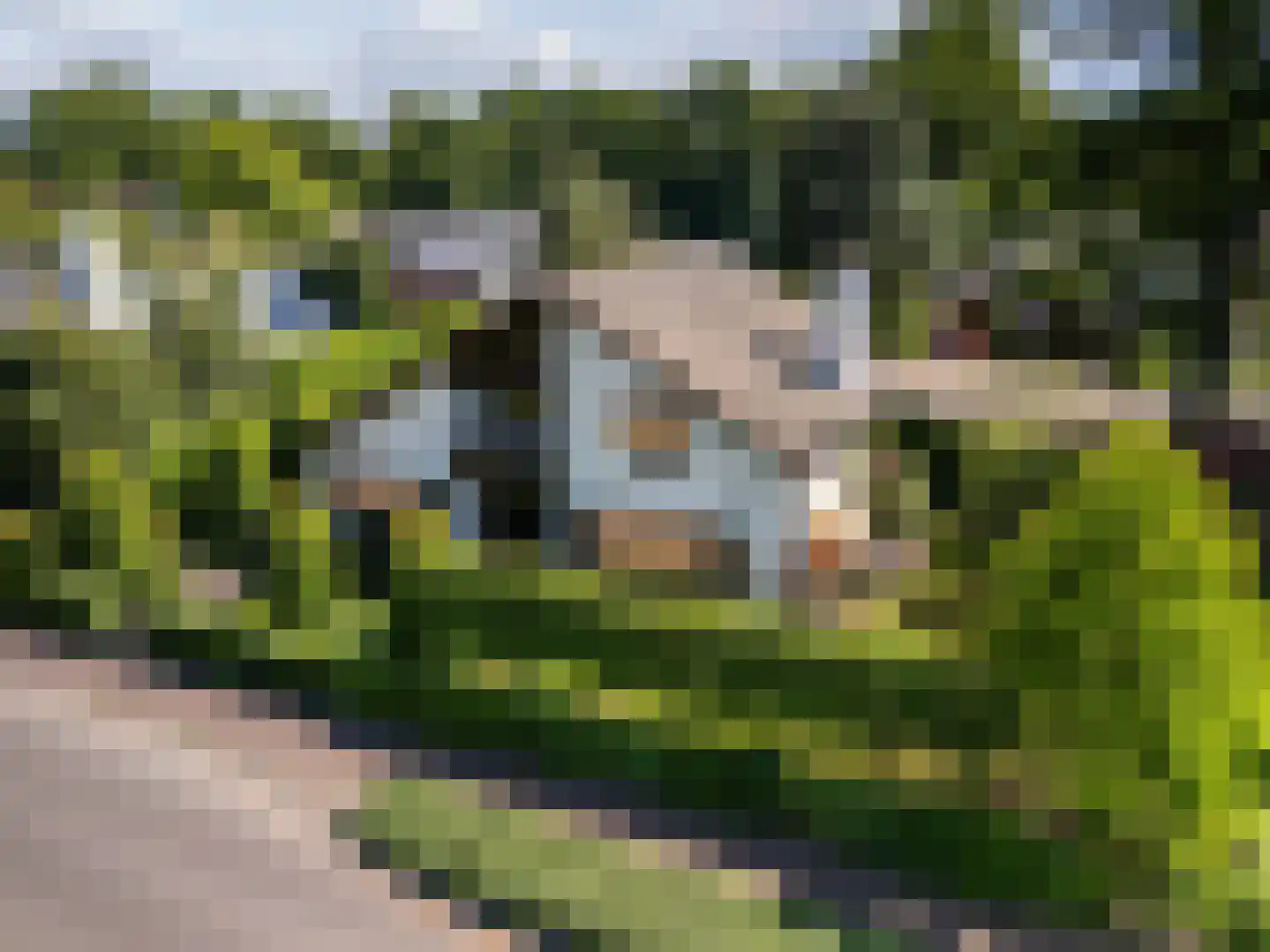 Greekerinckskamp 8 Delden