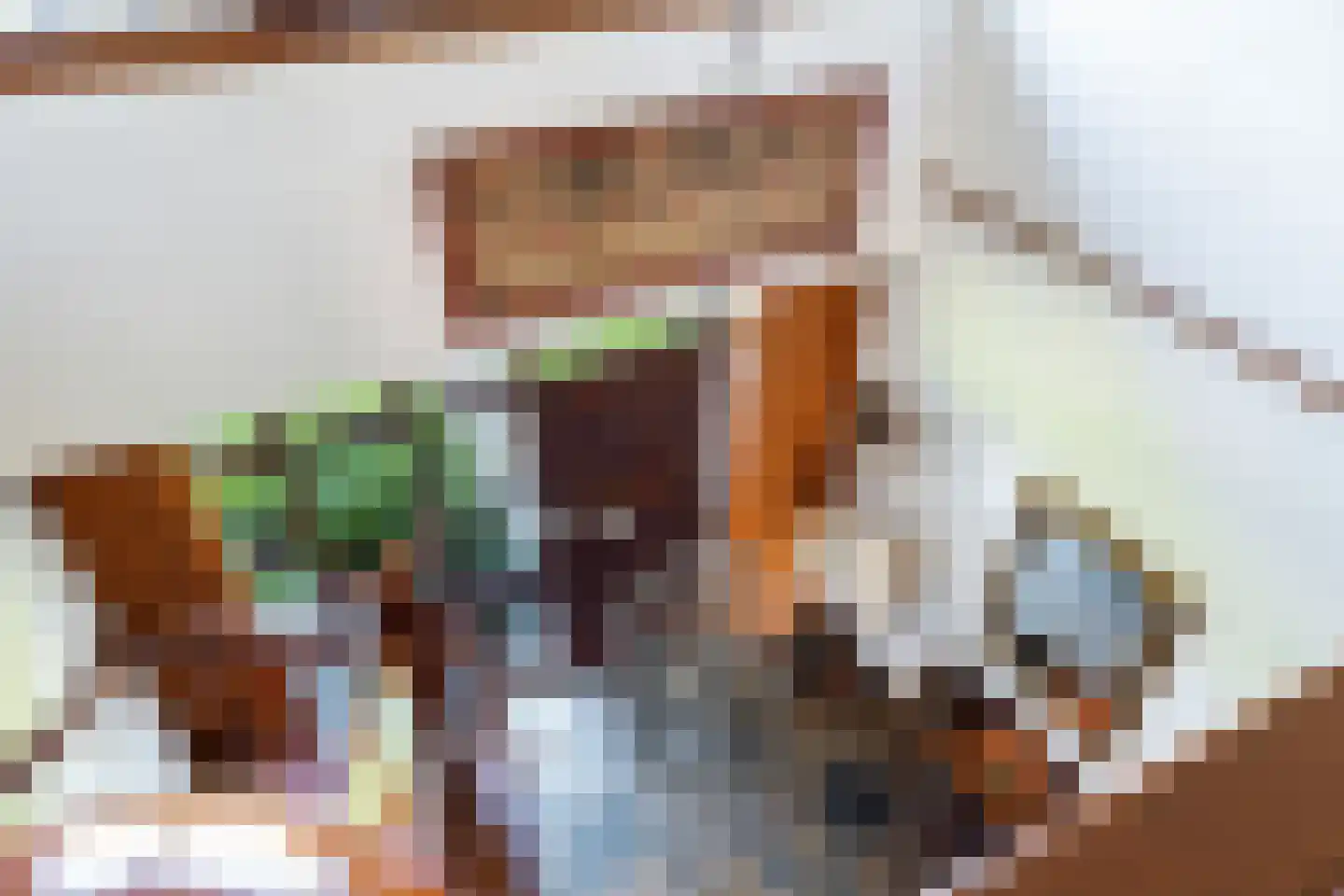 Greekerinckskamp 8 Delden thumbnail 31
