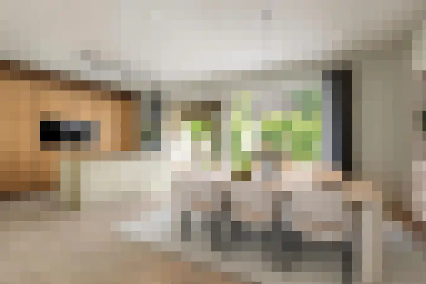 Greekerinckskamp 8 Delden thumbnail 4