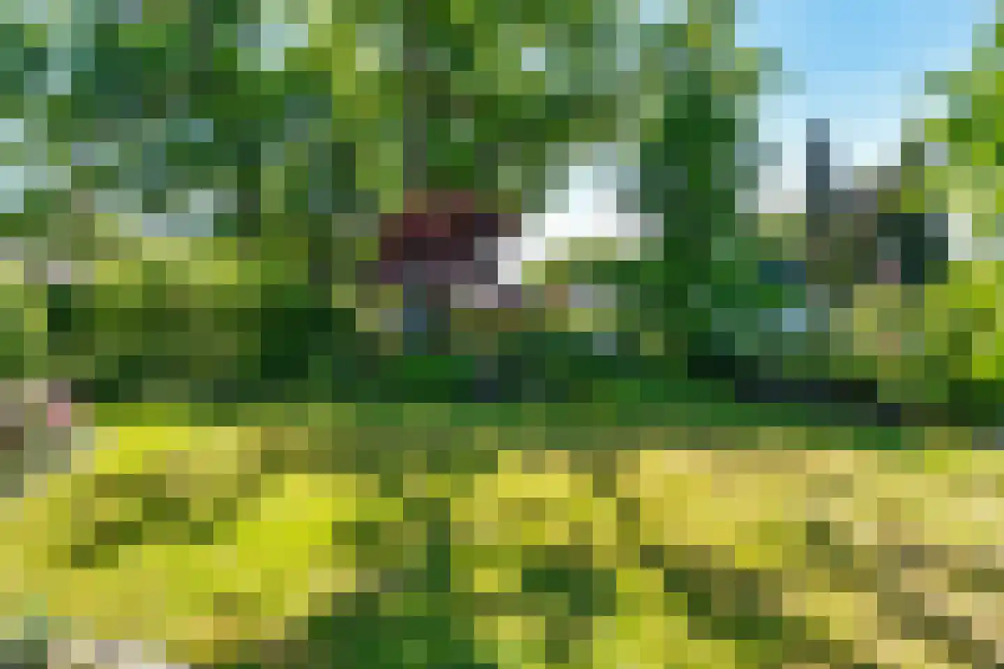 Greekerinckskamp 8 Delden thumbnail 40