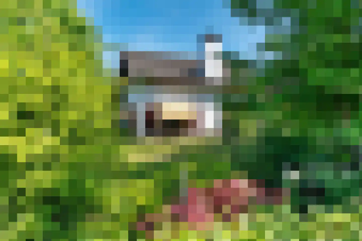 Greekerinckskamp 8 Delden thumbnail 48